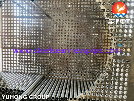 Heat Exchanger Tube Bundle , Stainless Steel Heat Exchanger Tube and Tubesheet