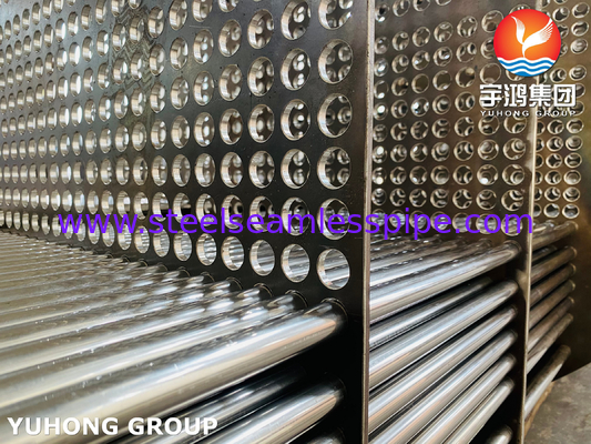 Heat Exchanger Tube Bundle , Stainless Steel Heat Exchanger Tube and Tubesheet