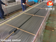 ASTM A179/ASME SA179 Carbon Steel U Bending Tube for Heat Exchanger ET/HT/PT