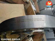 ASTM A182 F304L / UNS S30403 / 1.4306 Stainless Steel Pipe Flange Blind Flange