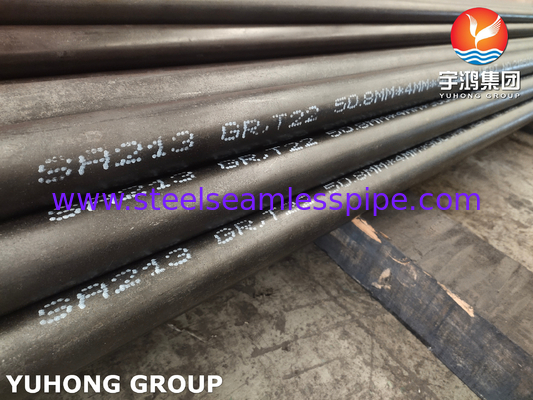 ASME SA213 Seamless T22 Carbon Alloy Steel Boiler Tubes