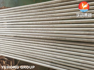 ASTM A213 (ASME SA213) TP444 Stainless Steel Seamless Pipe Applied For Heat Exchanger