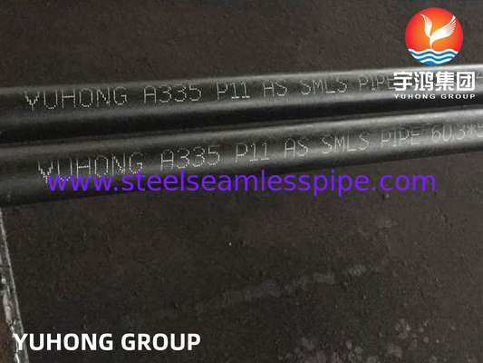 ASTM A335 P5 P9 P11 P22 Seamless Alloy Steel Boiler Pipes