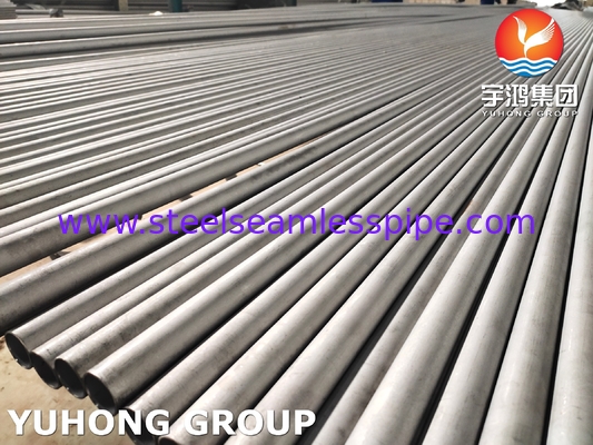 Duplex Steel Seamless Pipes A789  UNS S32205 S331803 S332750 Super Duplex Steel Pipe Heater Air Cooler Condenser Tank