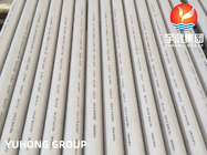 ASTM A312 TP304 / TP304L SMLS Austenitic Stainless Steel Pipes