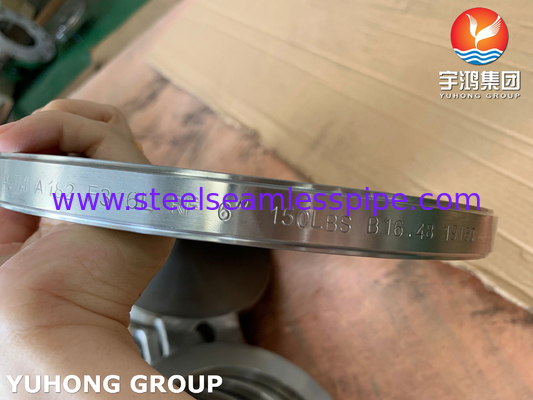 B16.48 ASTM A182 F316L Stainless Steel Spectacle Blind Flange Figure-8 Blanks