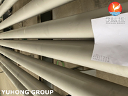 ASTM A312 UNS S31254 Seamless Duplex Steel Boiler Pipes