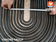 ASTM A179/ASME SA179 Carbon U Bend (U Bent) Heat Exchanger Tubes Boiler Tube