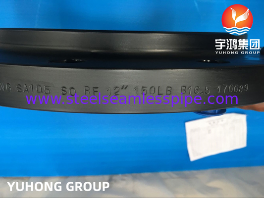 Carbon Steel A105 Customized Flange Raised Face PT Available