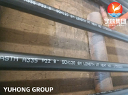 ASTM A335 Seamless P22 Ferritic Alloy Steel Boiler Pipe