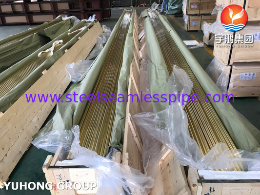 ASME SB111 C44300 Copper Alloy Seamless Tube for Boiler/Heat Exchanger Application