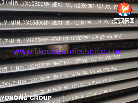 ASTM A213 T9 Alloy Steel Seamless Tube For Oil And Petrochemical