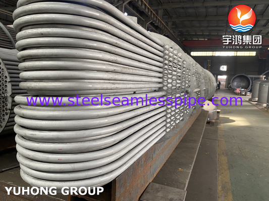 Heat Exchanger Tube Bundle, Stainless Steel Seamless Tube  ASME SA213 TP316L , Tubesheet  SA350 LF2 CL1N