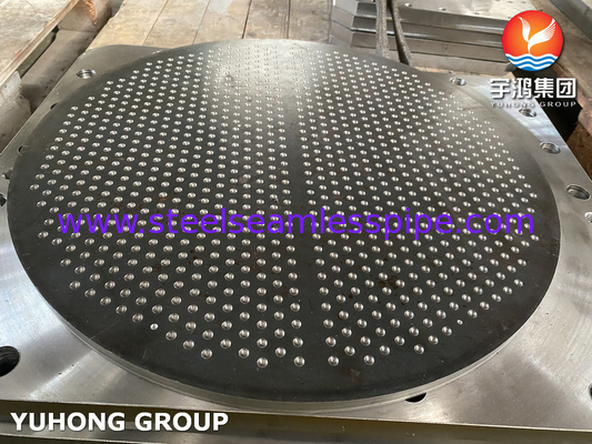 Forged Stainless Steel Tube Sheet For  Shell and Tubular Heat Exchanger Fixied Type,U-type type ,Floating Type