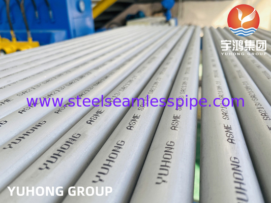 ASTM A213 TP316L, 1.4404, S31603 Stainless Steel Seamless Heat Exchanger Tube