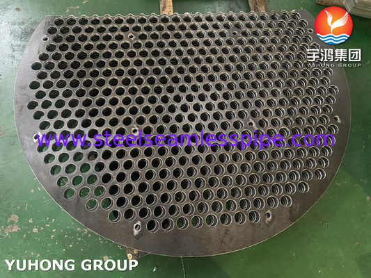 ASME SA283 Gr.C  Single Segmental Baffle For Heat Exchanger Application