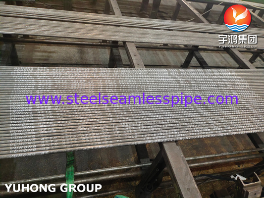 ASTM A213 Carbon Alloy Steel Seamless T5 Heat Exchanger Tubes