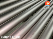 ASTM B407 Alloy 800 UNS N08800 1.4876 Nickel Alloy Seamless Pipe