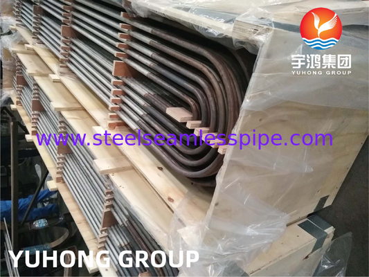 ASTM A213 TP304L Austenitic Stainless Steel Seamless U Bend Tube