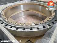 High Corrosion Resistance ASTM A182 F310 Forged Flange Weldneck RTJ