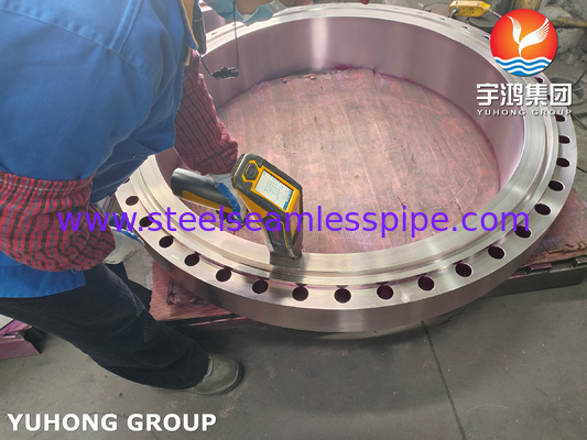 High Corrosion Resistance ASTM A182 F310 Forged Flange Weldneck RTJ