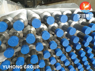 High Frequency Finned Tube HFW Stainless Steel U-Type Finned Convection Tube