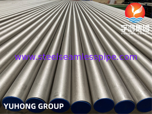 Boiler Tube Nickel Alloy ASTM B407 Alloy 800 800H 800HT for Tube bundle Application