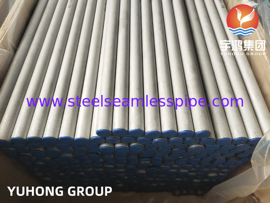 ASTM A213/ ASME SA213 TP317/ TP317L/TP317LMN   Stainless Steel Seamless Tube