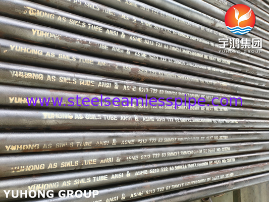 Alloy Steel Tube ASTM A213 T22 Seamless Boiler Tube For Fired Heaters And Heat Exchangers