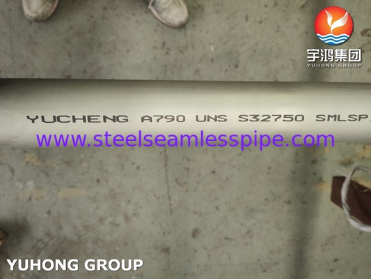Water Treatment ASTM A790 UNS S32750 Seamless Super Duplex Stainless Steel Pipes