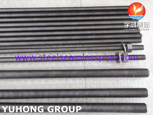 ASTM B348 Grade 2 Titanium Nut Gasket