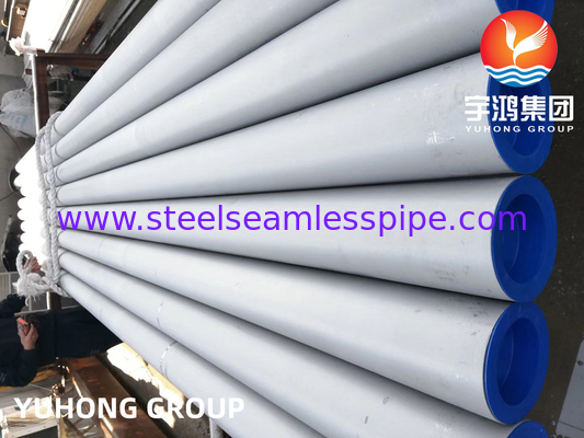 ASTM A312 TP310S High Temperature Stainless Steel Seamless Pipe For Furnace Application