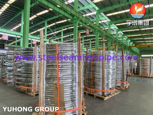 Stainless Steel Seamless	Bright Annealed Coiled Tube TP304 TP316L