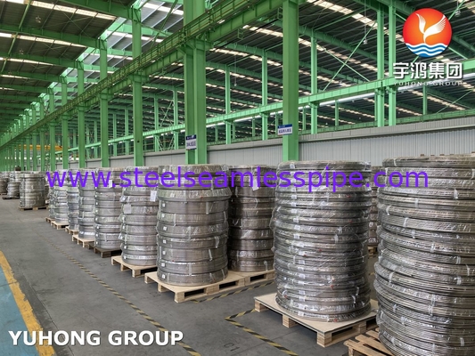 Stainless Steel Seamless	Bright Annealed Coiled Tube TP304 TP316L