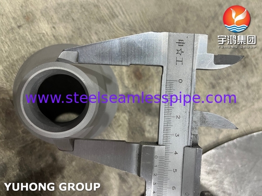 ASTM A815 S32205-S Reducer For Harsh Environments And Sea Water Applications