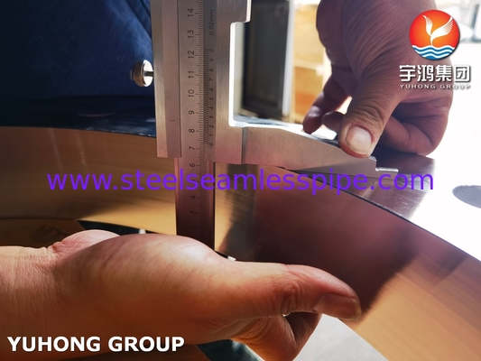 ASTM A182 F904L Stainless Steel Flanges with Excellent Corrosion Resistance