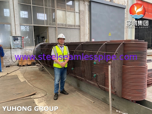 Heat Exchanger Tube Bundle D-E1 A ASME SA213 T11 U Bend Tube With ASME SA-516 GR.70 (N, FGP) Tubesheet ASME U STAMP