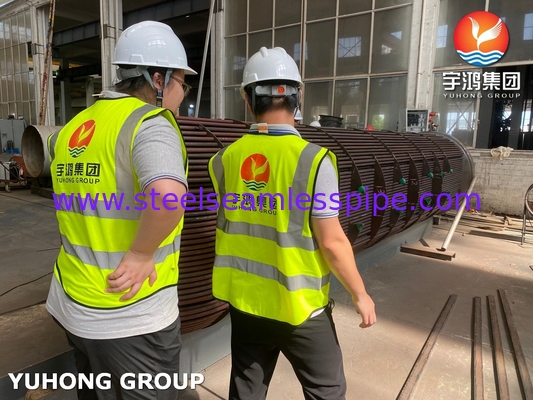 Heat Exchanger Tube Bundle D-E1 A ASME SA213 T11 U Bend Tube With ASME SA-516 GR.70 (N, FGP) Tubesheet ASME U STAMP