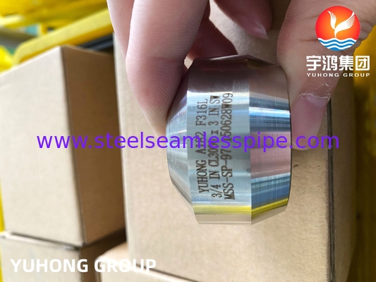 SS Weldolet A182 F316 / F316L Outlet Stainless Steel Forged Fitting