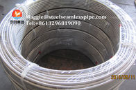 Stainless Steel Coil Tubing ASTM A269 TP304L TP316L TP316Ti