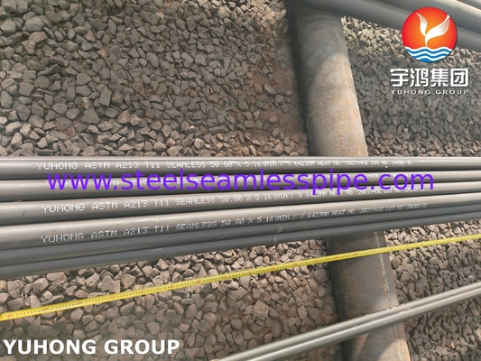 ASTM A213 Grade T11 Chrome Moly Alloy Steel Seamless Boiler Tube