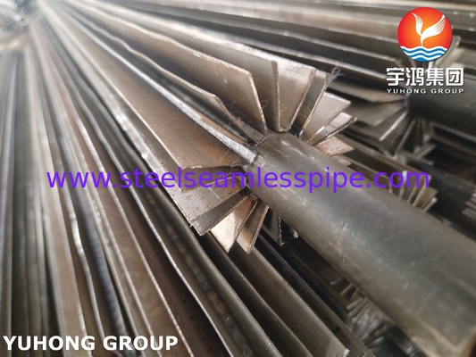 Longitudinal Fin Tube ASTM A249 TP304 for Petrochemical Reactor Heating Jackets​