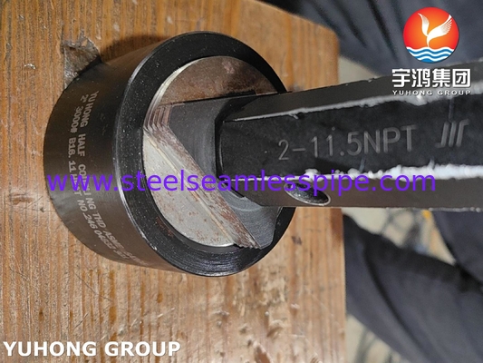 Stainless Steel Forged Fitting ASME SA105 B16.11 3000 NPT Half Coupling With B16.11 Standard