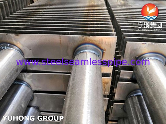 Stainless Steel Fin Tube H Type A213 TP316L With SS Fin SS316L For Smoke Heater