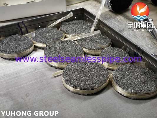 Stainless Steel Injection Needle Tube , ISO9626 SUS304 , 16G Veterinary Needle For Animal Care