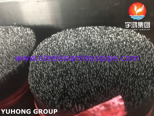 ISO7864 Stainless Steel Injection Needle Tube , Bevelled Tip , Medical Hypodermic Needle