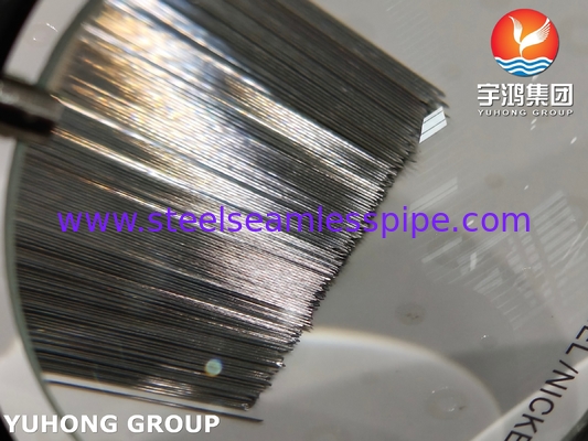 31G Triple Bevelled Stainless Steel Mesotherapy Needle Tube For Cosmetic Surgery ISO9626 SUS304