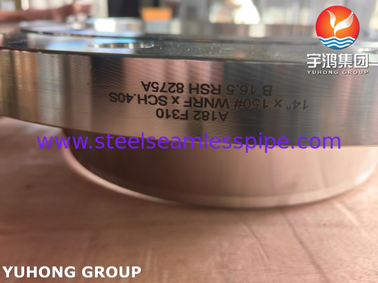 ASTM A182 F310 Stainless Steel WNRF Flange ASME B16.5 Forged Steel Flange