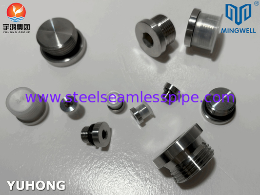 Forged 316L Hydraulic Stainless Steel Fitting Plugs Male And Female With JIS B8363 Standard