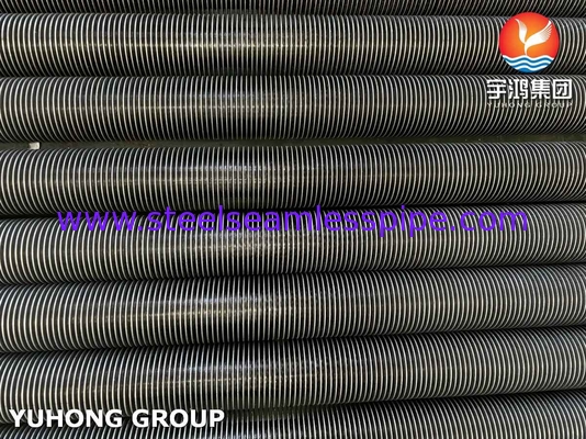 HFW ASTM A213 T9 Alloy Steel Seamless Tube With 11Cr Convection Tube Coil Application